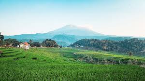 Keindahan Desa Wisata dengan Panorama Alam yang Menakjubkan